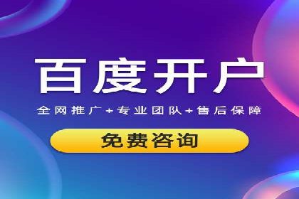 网络推广竞价策略解析与应用案例